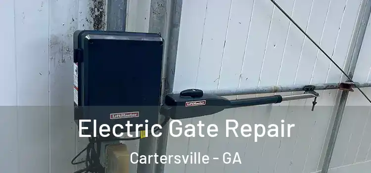 Electric Gate Repair Cartersville - GA