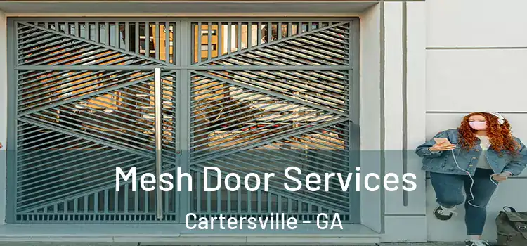 Mesh Door Services Cartersville - GA